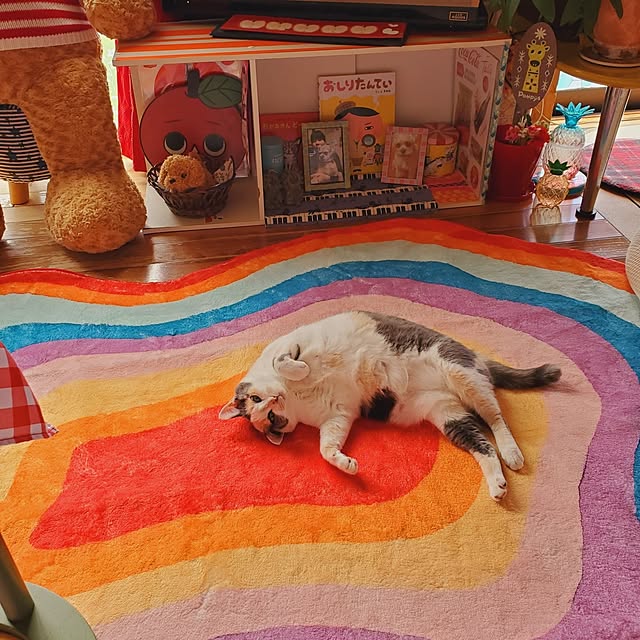 kumutanさんの部屋