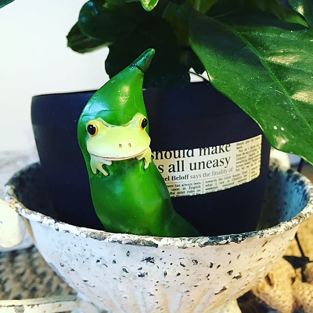 Kumikoさんの実例写真