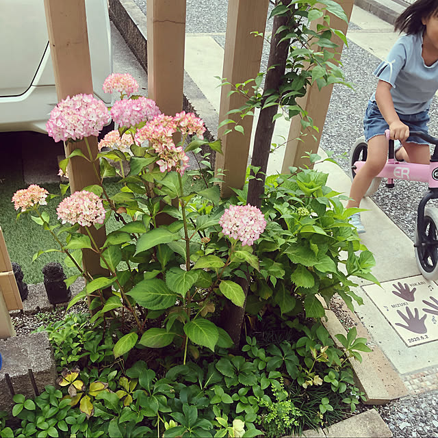 sachiさんの実例写真