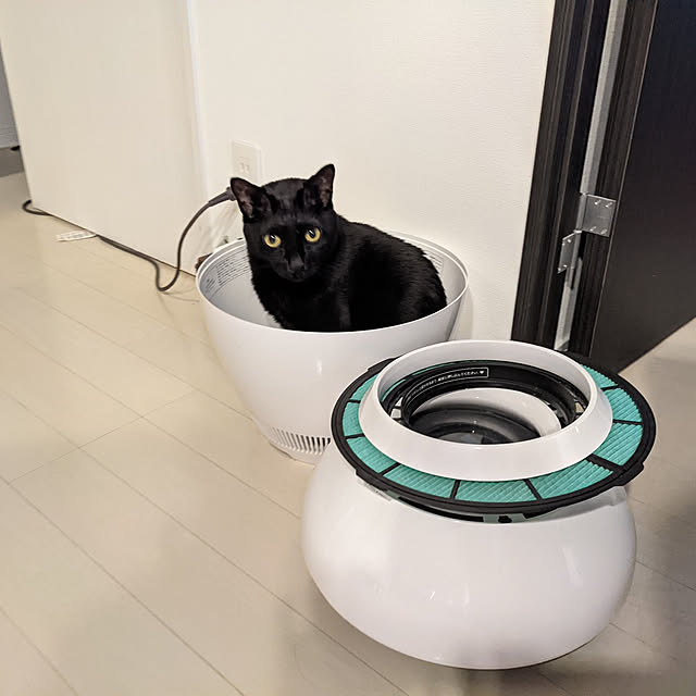 Pokkeさんの実例写真