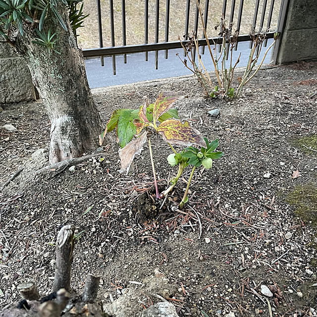 shin0719さんの部屋