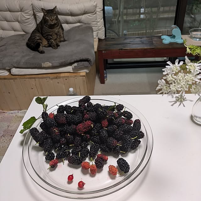 mori_6_12さんの実例写真