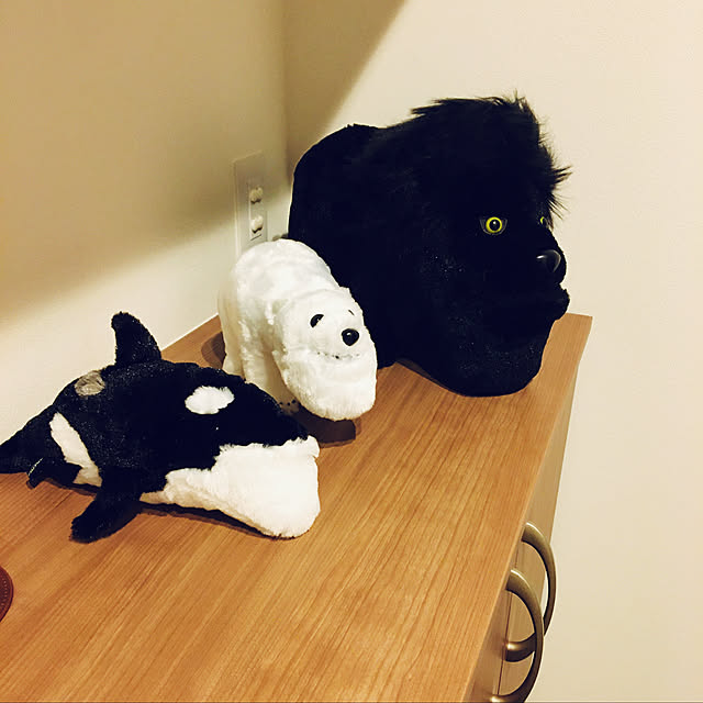 seiさんの実例写真