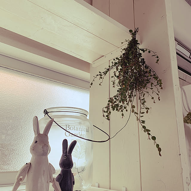 ayapi.pooさんの実例写真