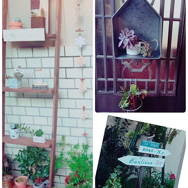 asa.homeさんの実例写真