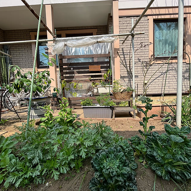 botanさんの実例写真
