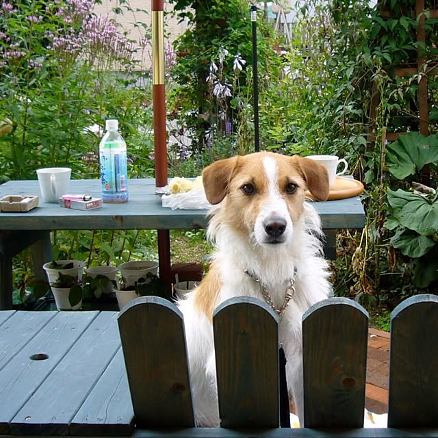 pan_maroさんの実例写真