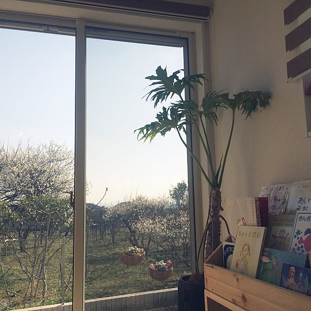 10さんの実例写真