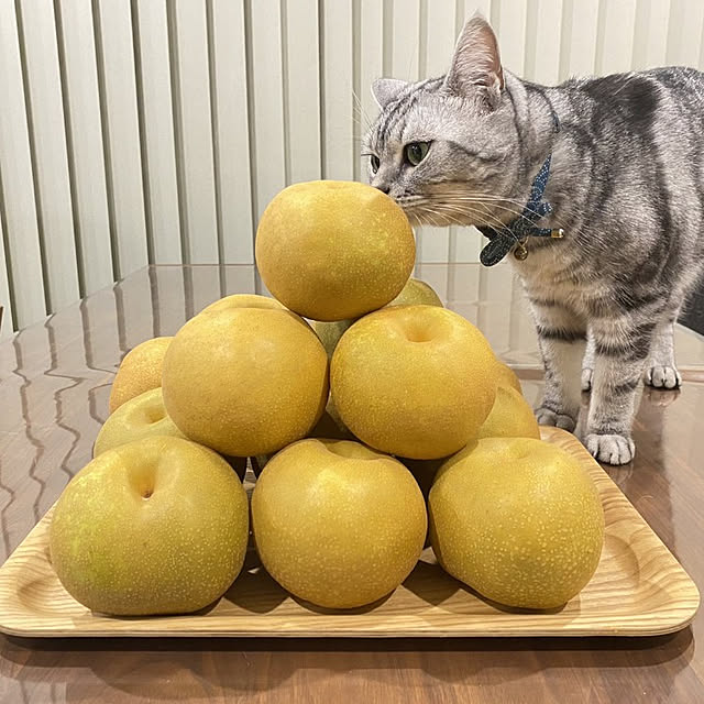 NANACOCOさんの実例写真