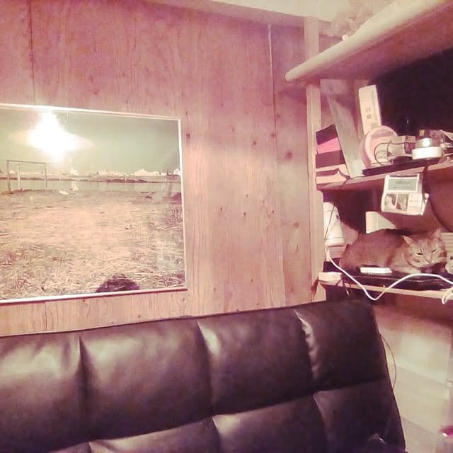 catloveさんの実例写真