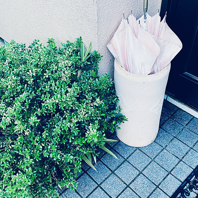 simayaさんの実例写真