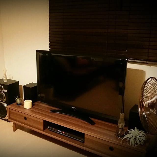 リビング/テレビ台のインテリア実例 - 2016-06-12 20:44:20