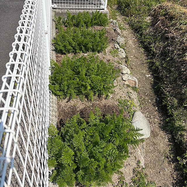 ritsukoさんの部屋