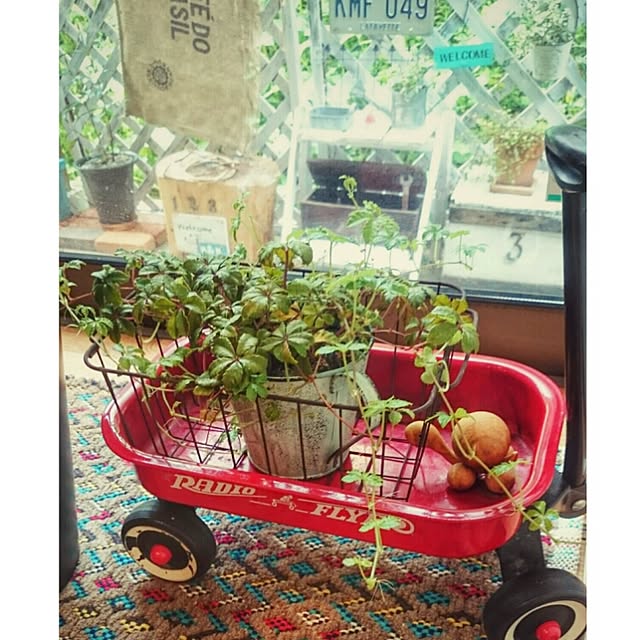 koppeさんの実例写真