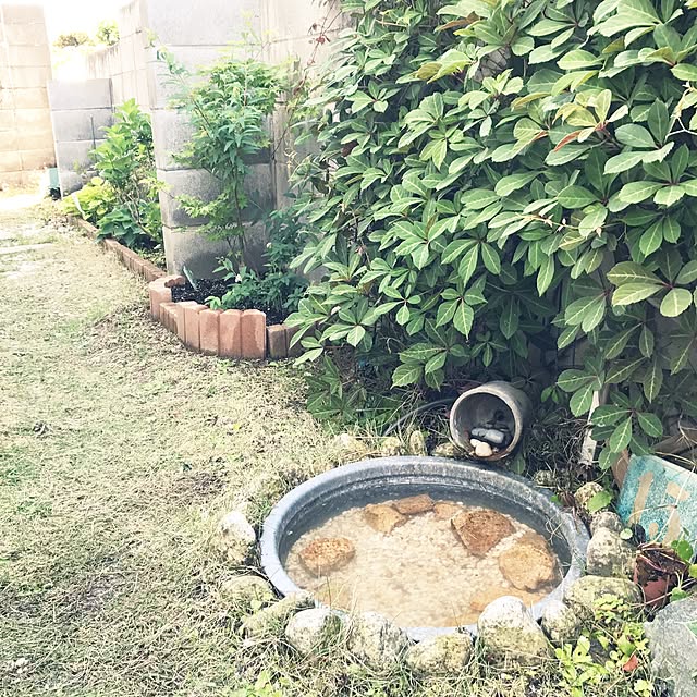 mimosaさんの実例写真