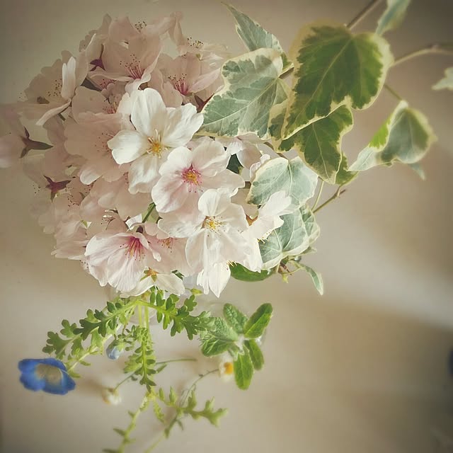 zubora-manさんの実例写真
