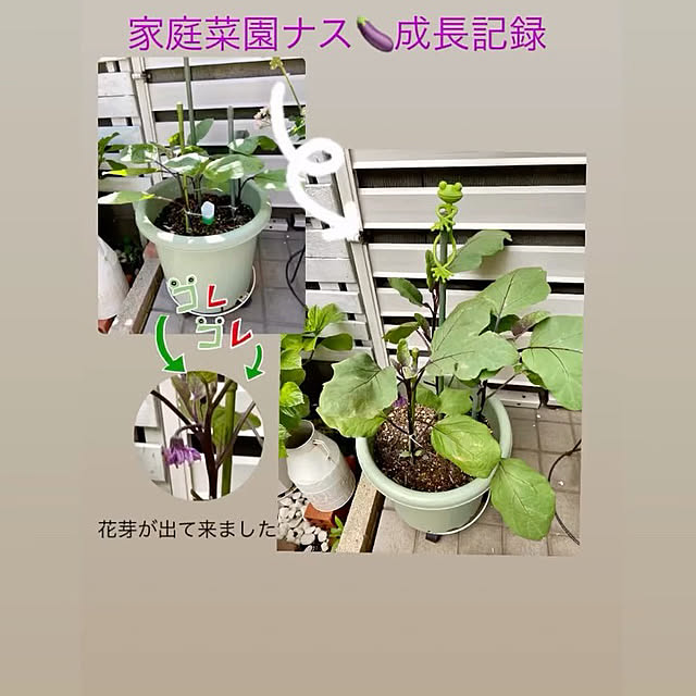 YuuKoさんの実例写真