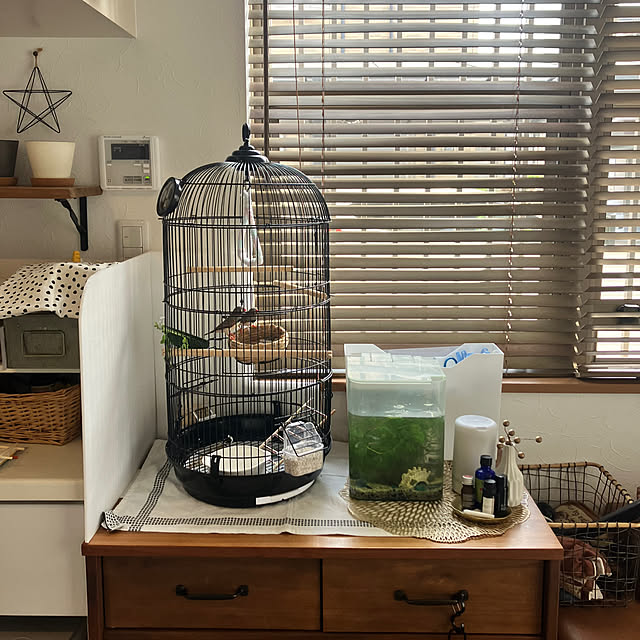 Yukoさんの部屋