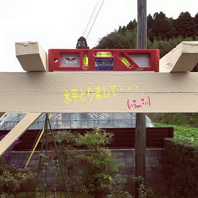 実例写真