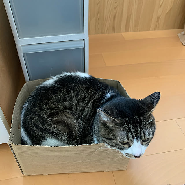 mohimikanさんの実例写真