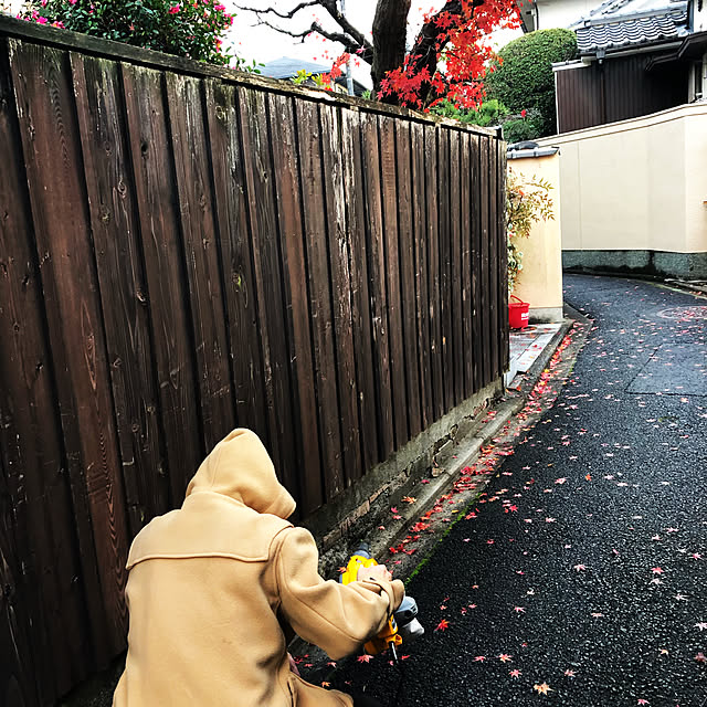 実例写真