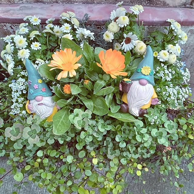 mocomocoさんの実例写真