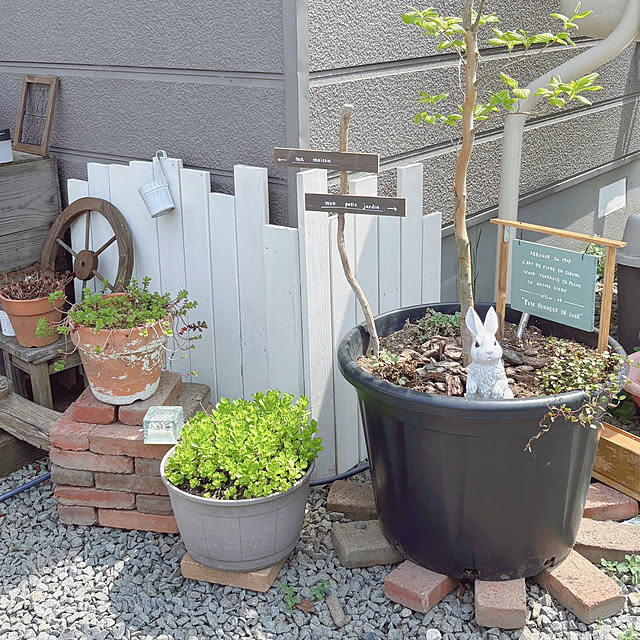 kotoriさんの部屋