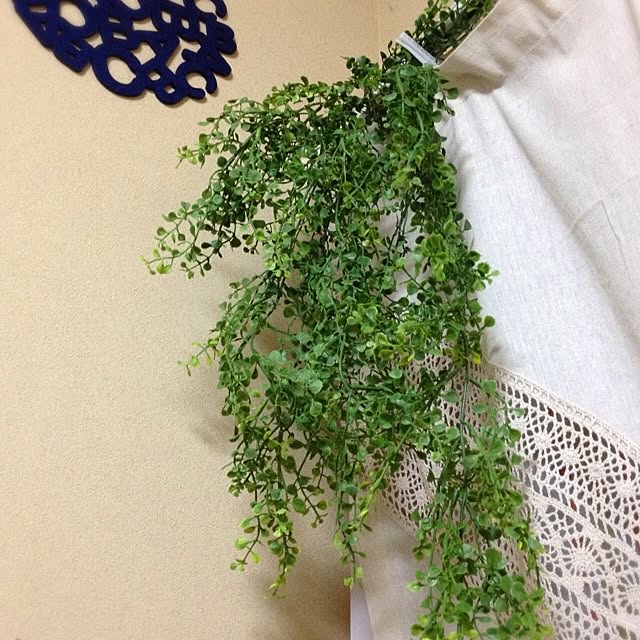 NABIさんの実例写真
