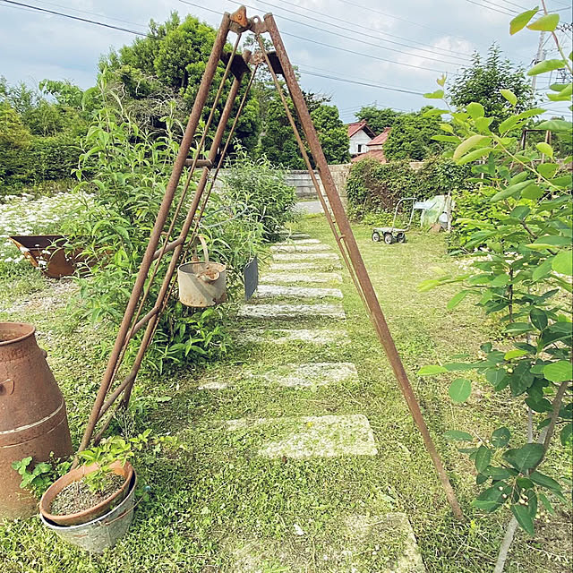 TOROさんの実例写真