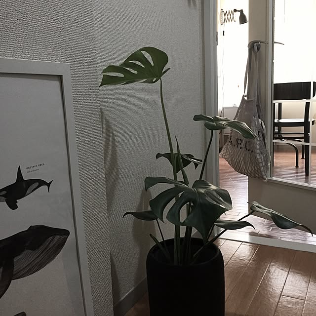 cocco0201さんの実例写真