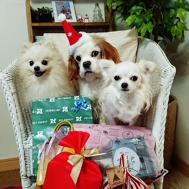 yukaさんの実例写真