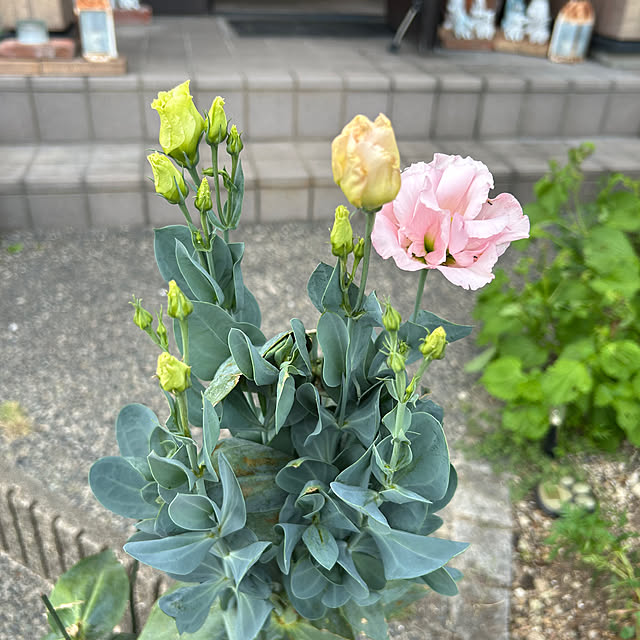ritsukoさんの実例写真