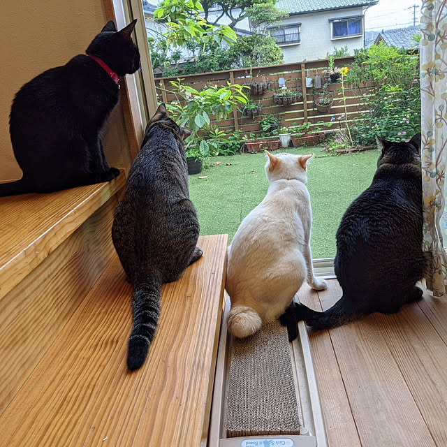 jacky-m-さんの実例写真