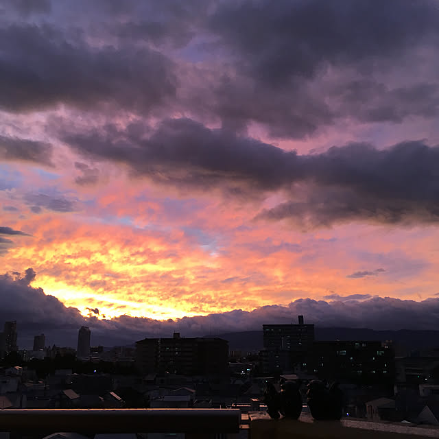 simple_blowbackさんの実例写真