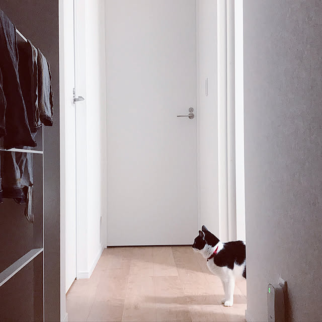 Yさんの実例写真