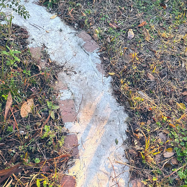 burubonさんの実例写真