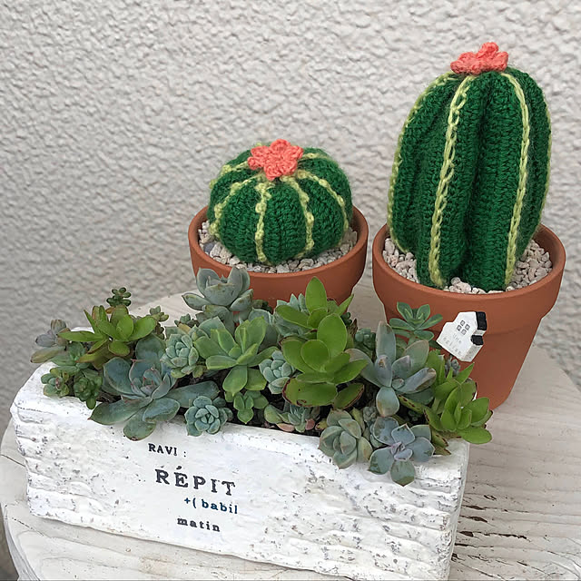 fgtomatoes0560さんの実例写真