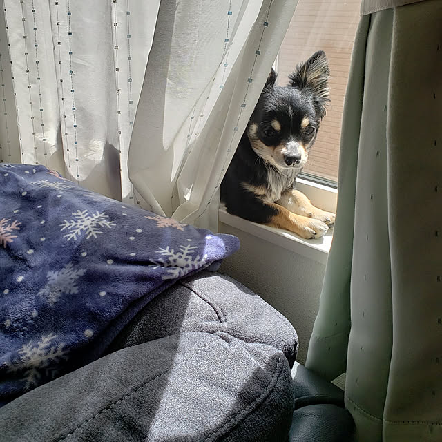 hanabutaさんの実例写真
