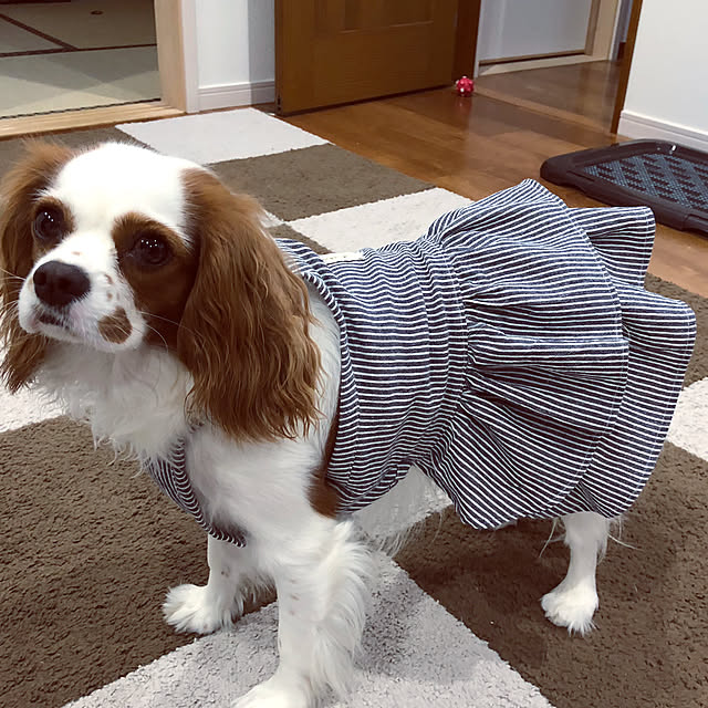 canmilmamaさんの実例写真