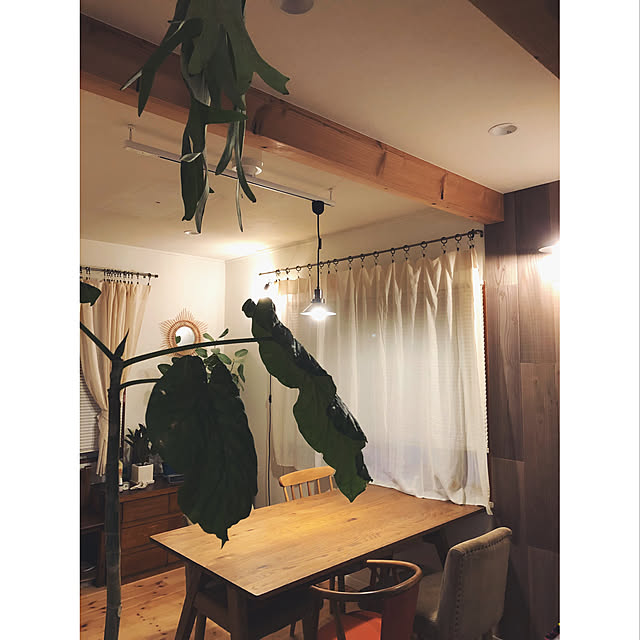Shizukaさんの実例写真