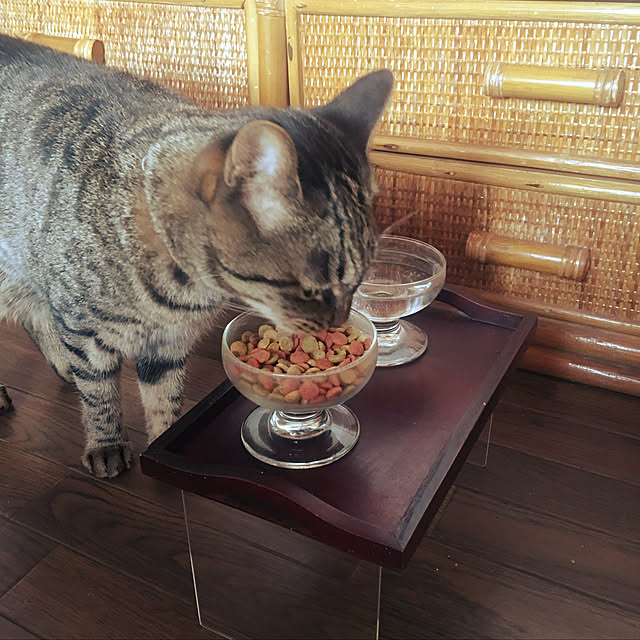 KINGさんの実例写真