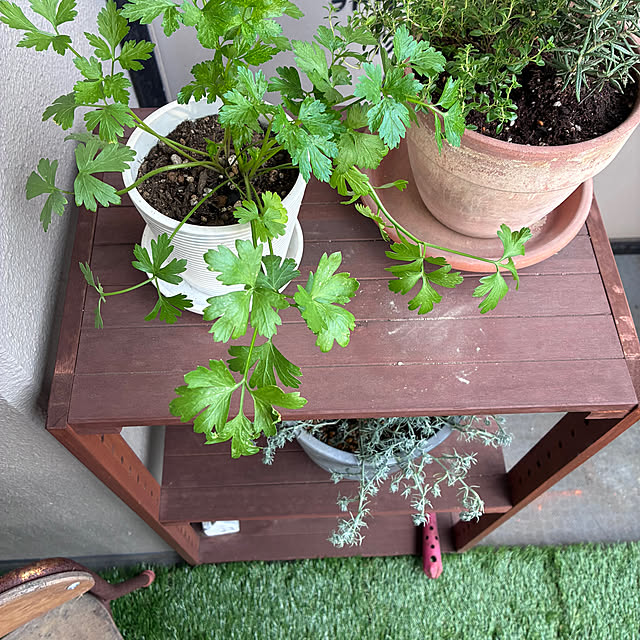 sakiさんの部屋