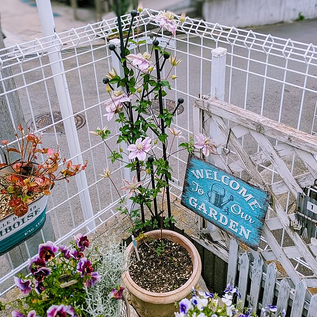 purpureさんの部屋