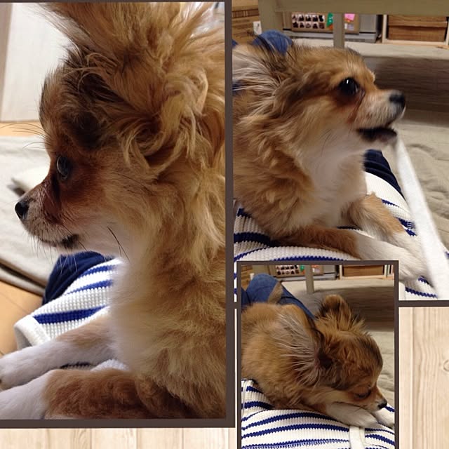 rieさんの実例写真