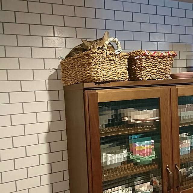 poniさんの実例写真