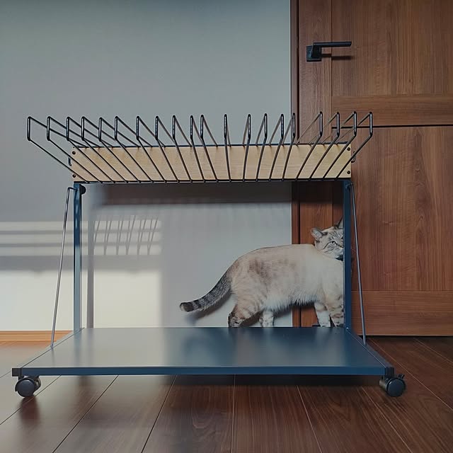 Atelier_tamakiさんの部屋