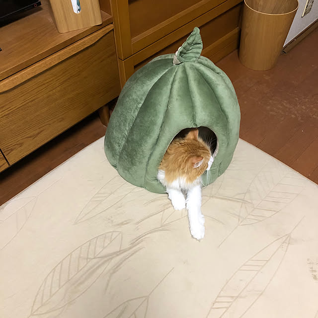 uchidaizuさんの実例写真