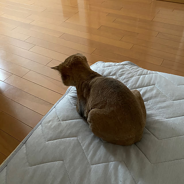 yuri.sさんの部屋