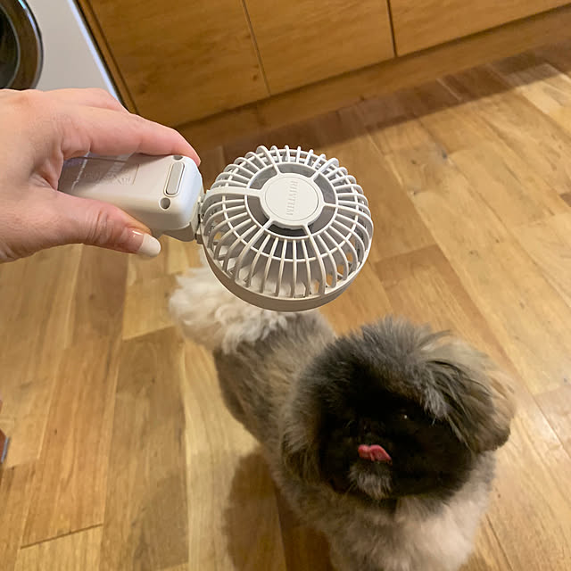 kororisさんの実例写真