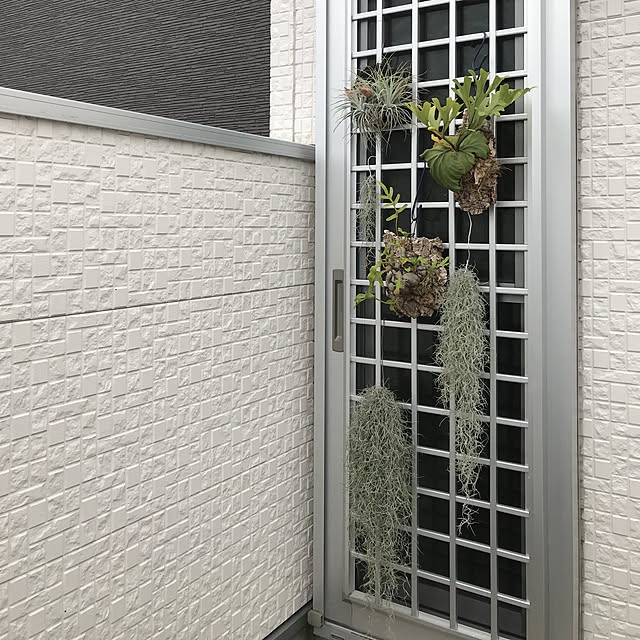 hhhysさんの実例写真